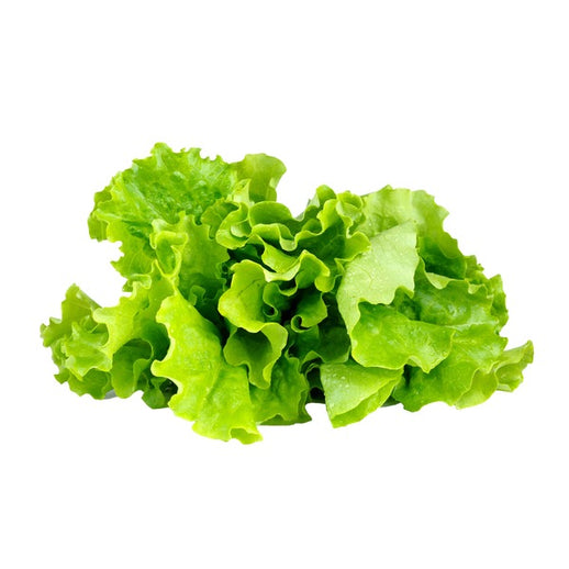 PCC-Green-Leaf-Lettuce-Organic-1-Bunch.jpg