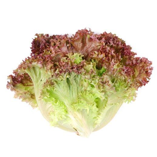 PCC-Red-Leaf-Lettuce-Organic-1-Bunch.jpg