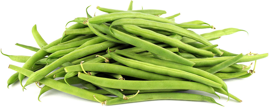 Organic_Green_Beans_Information_and_Facts